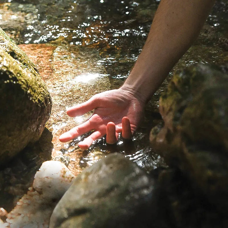 A hand resting in a river bank, palm facing up towards the sky.