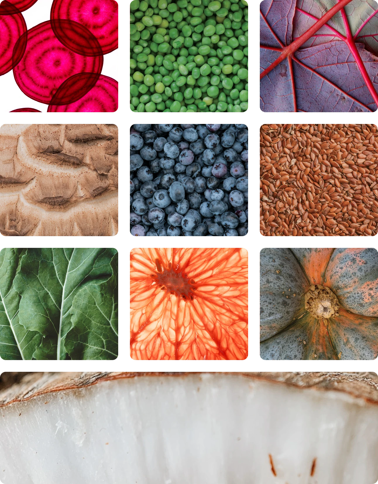 A 3 x 3 grid showing close ups of the whole fruits and vegetables ingrediants used to make HEAL. 