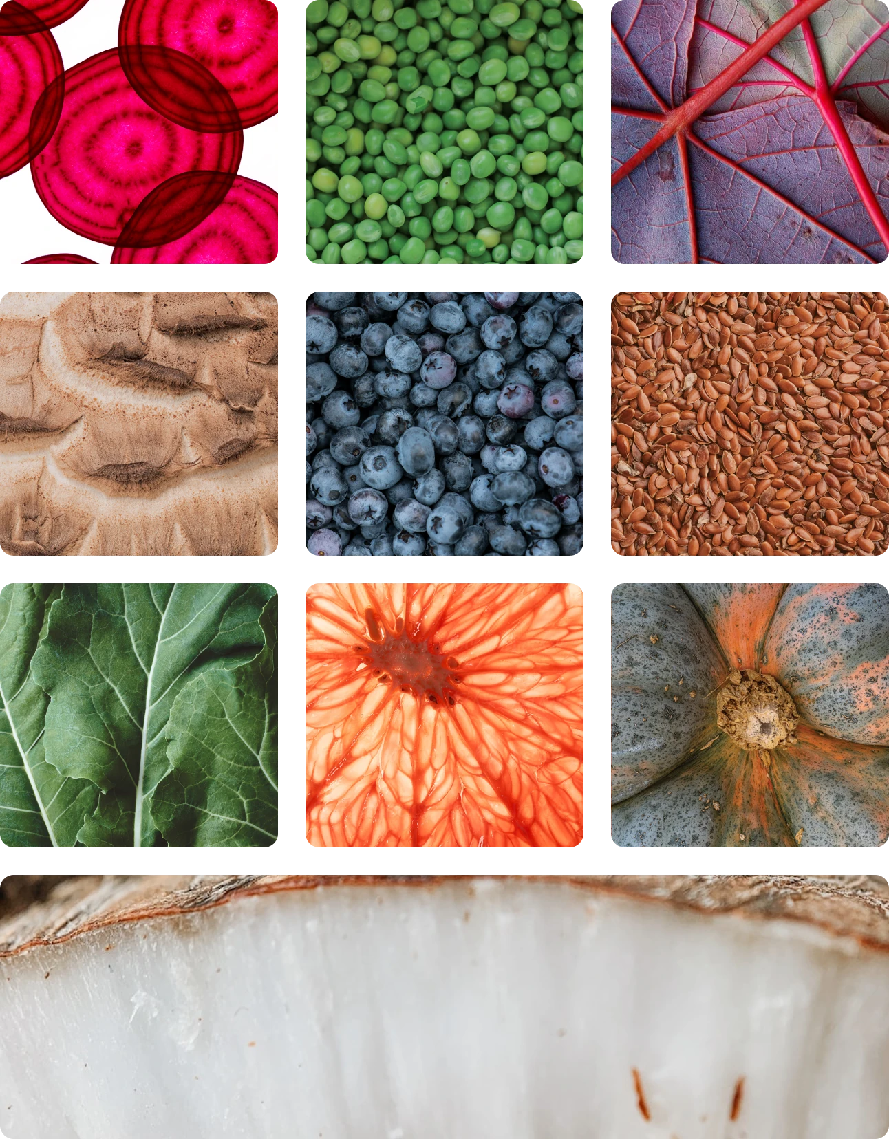 A 3 x 3 grid showing close ups of the whole fruits and vegetables ingrediants used to make HEAL.