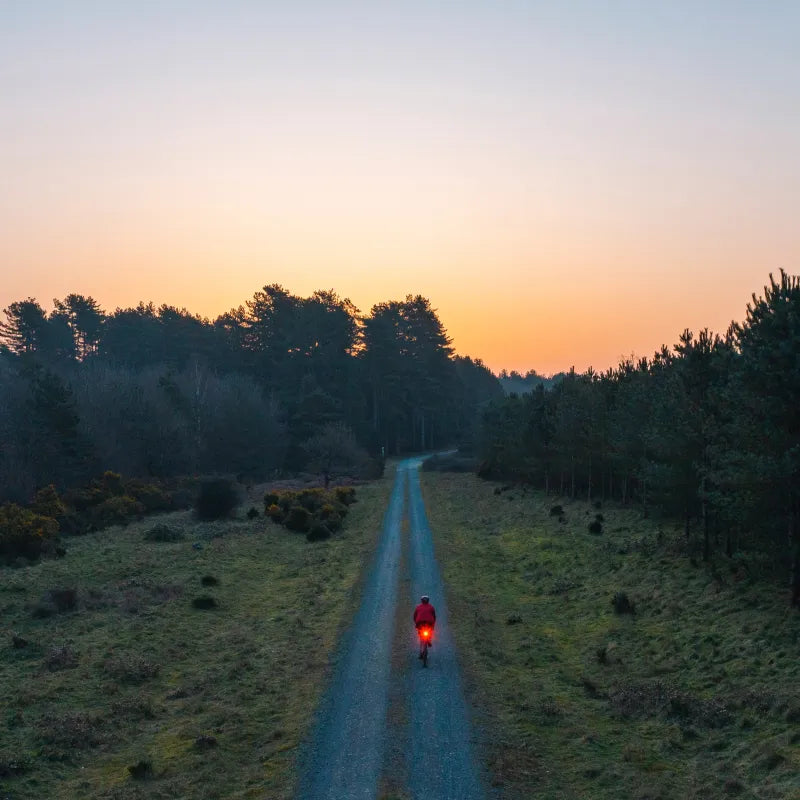 A motorcyclist driving down a country road at twilight.
