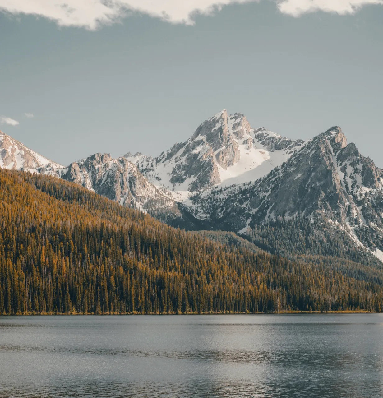 A serene landscape of a forested lake with snowy mountains in the background.